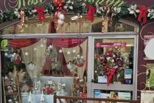 Photo de ROSE POMPOM Photo de ROSE POMPOM